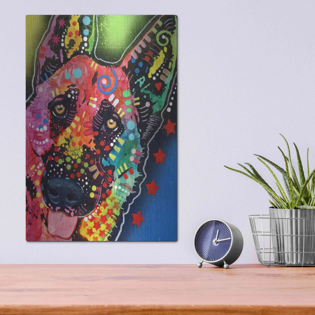 'Jackson' by Dean Russo – Metal Wall Art, 12x16 room view