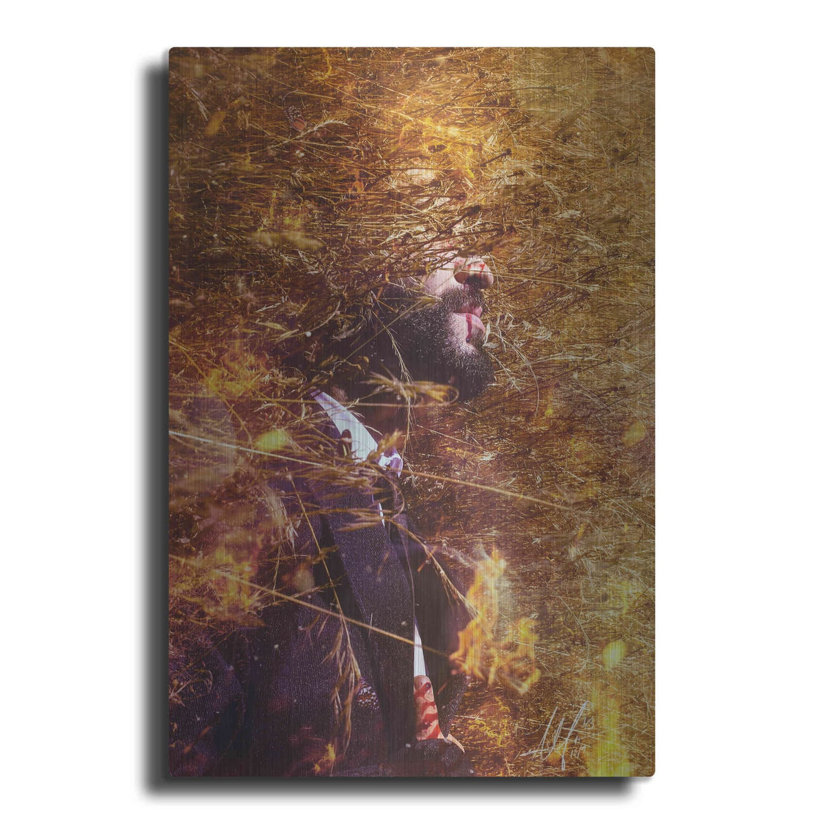 'Phoenix' by Mario Sanchez Nevado – Metal Wall Art