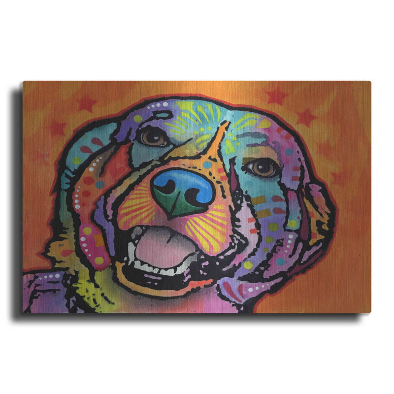 'Galle' by Dean Russo – Metal Wall Art