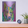 'Mia-005' by Dean Russo – Metal Wall Art, 12x16 room view