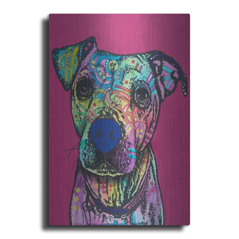 'Rosa 23' by Dean Russo – Metal Wall Art