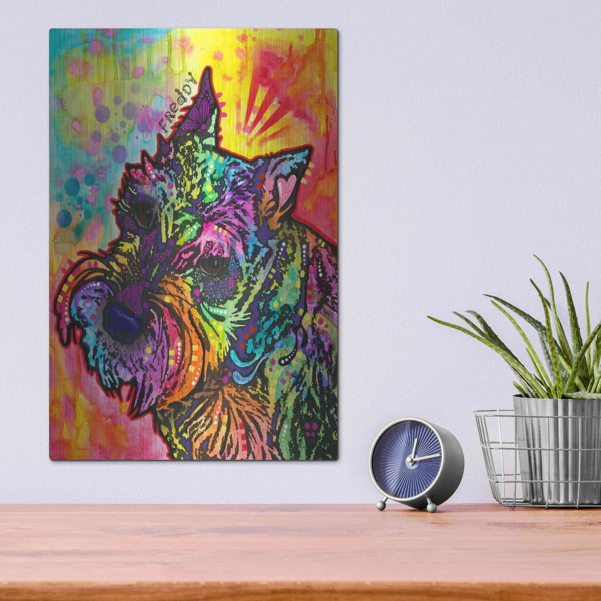 'Freddy the Schnauzer' by Dean Russo – Metal Wall Art, 12x16 room view