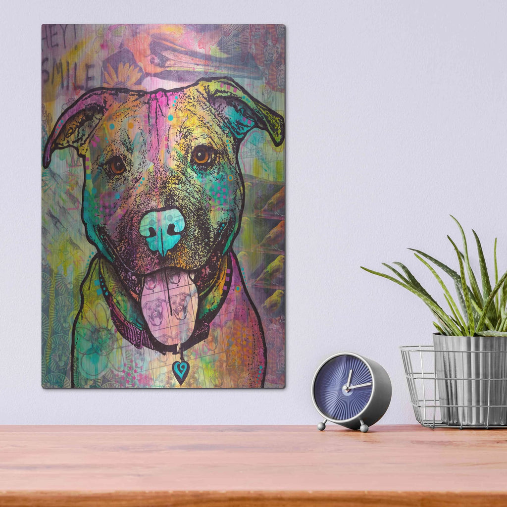 'Hey Smile' by Dean Russo – Metal Wall Art, 12x16 room view