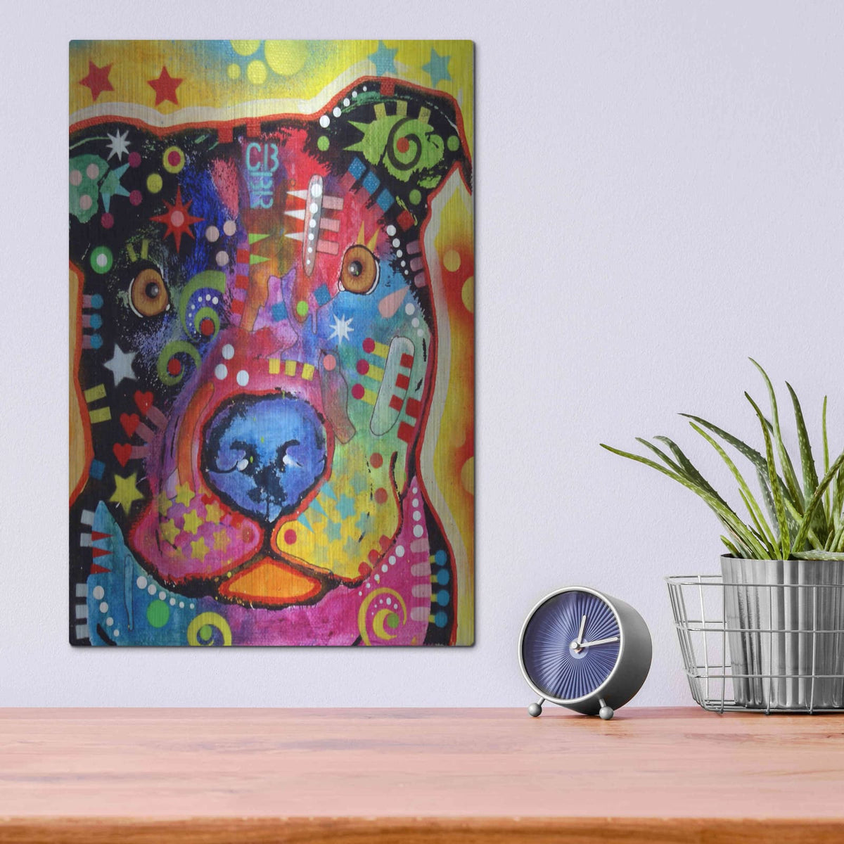 'Dino' by Dean Russo – Metal Wall Art, 12x16 room view