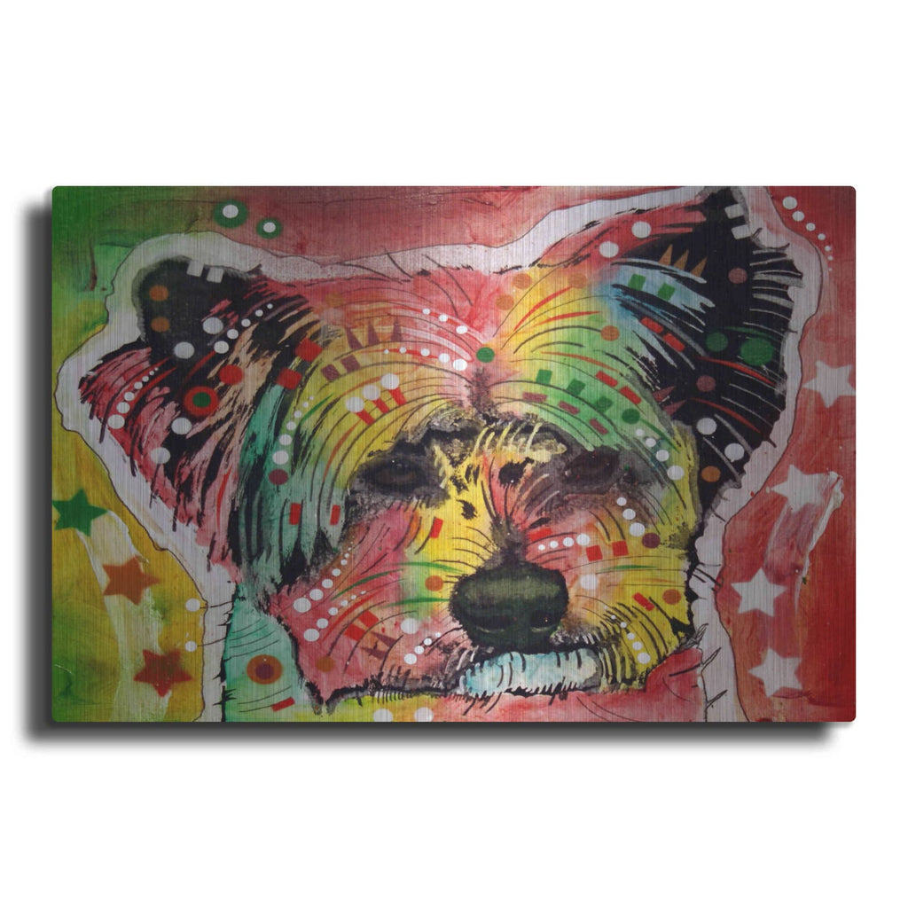 'Earthy York' by Dean Russo – Metal Wall Art