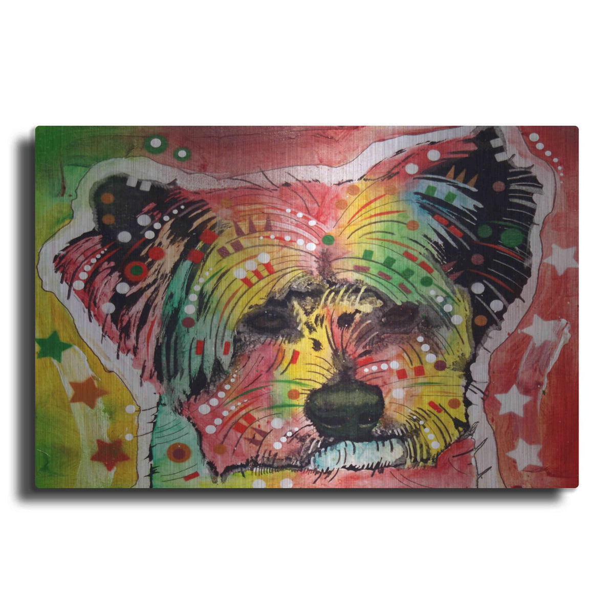 'Earthy York' by Dean Russo – Metal Wall Art