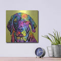 'Fixate Labrador' by Dean Russo – Metal Wall Art, 12x12 room view