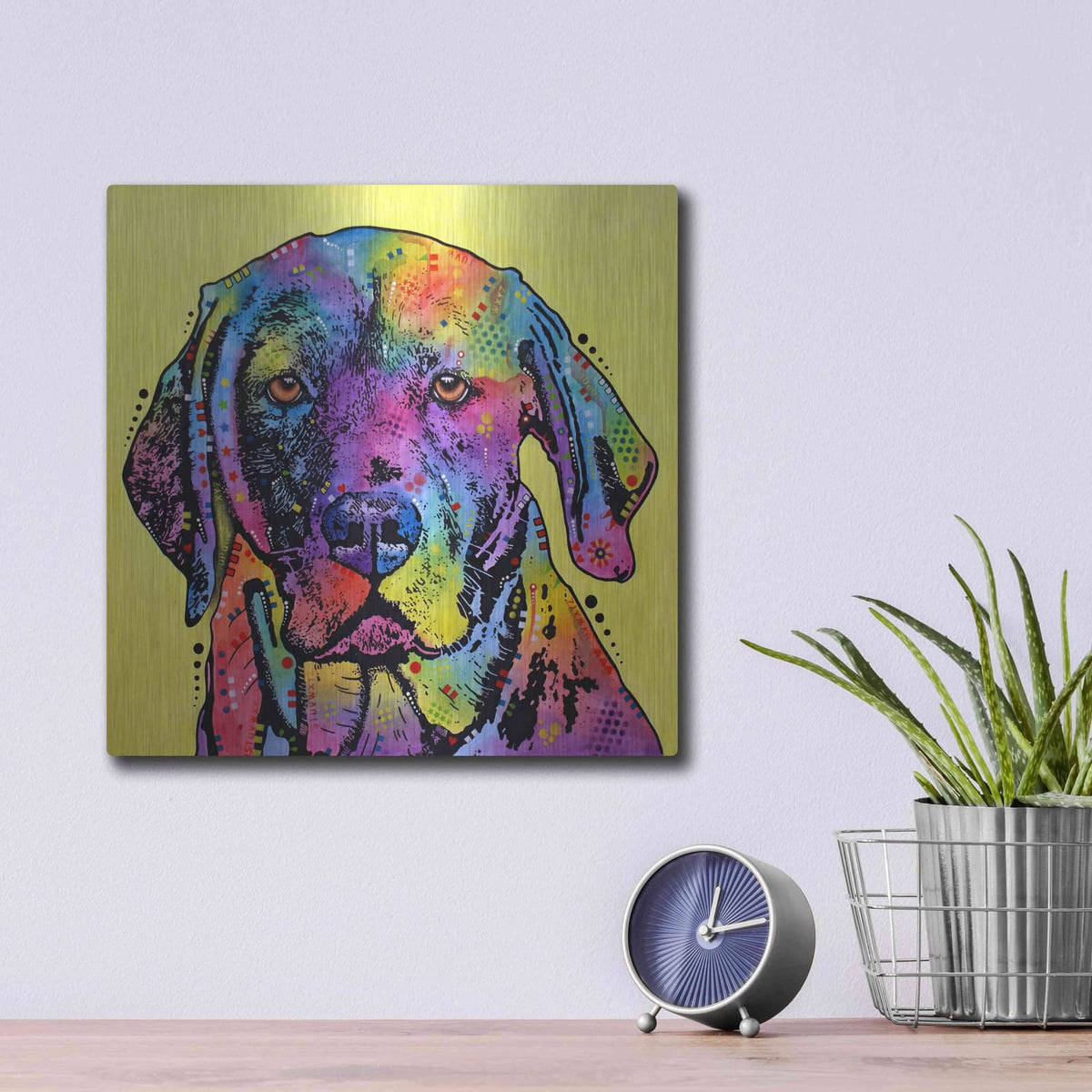 'Fixate Labrador' by Dean Russo – Metal Wall Art, 12x12 room view