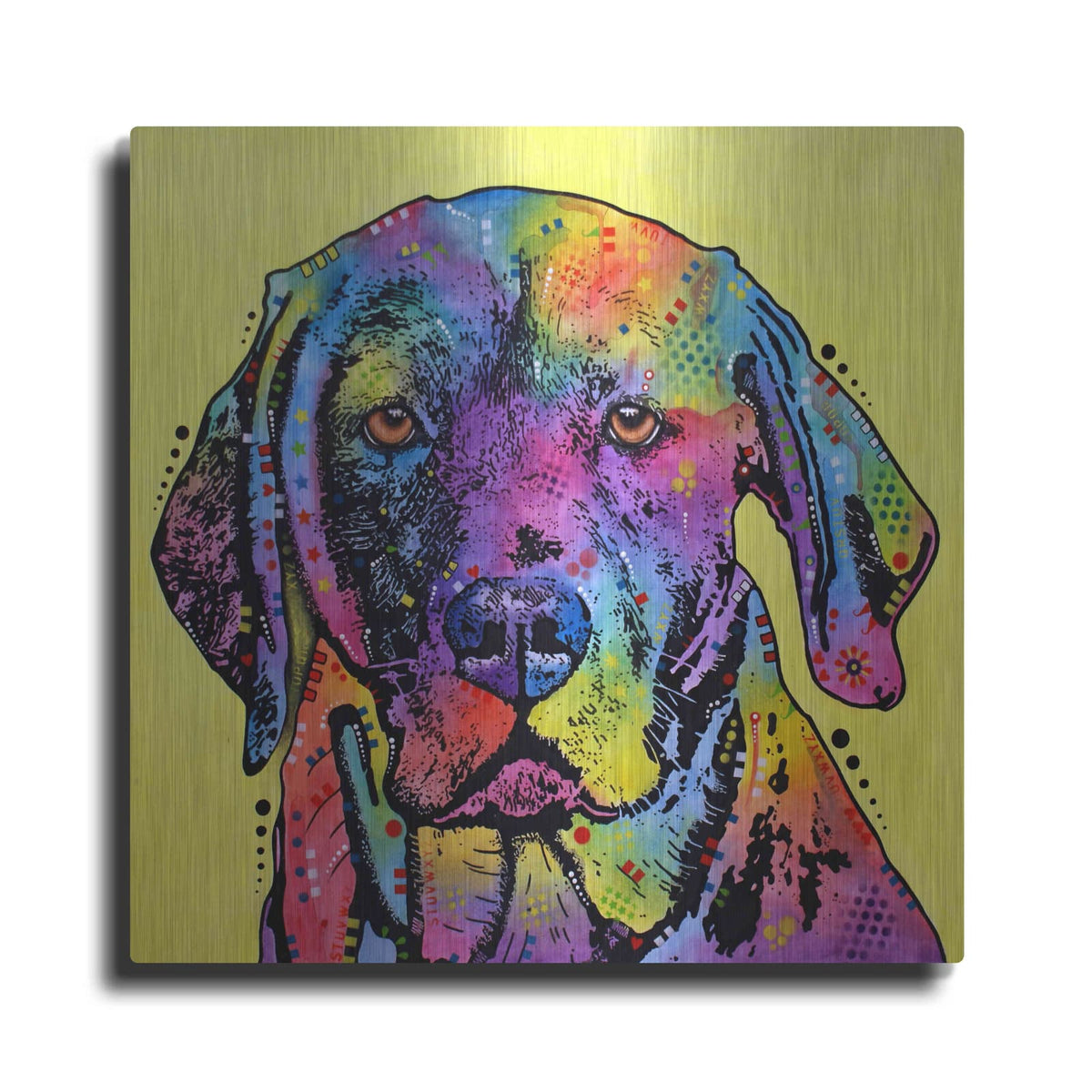 'Fixate Labrador' by Dean Russo – Metal Wall Art