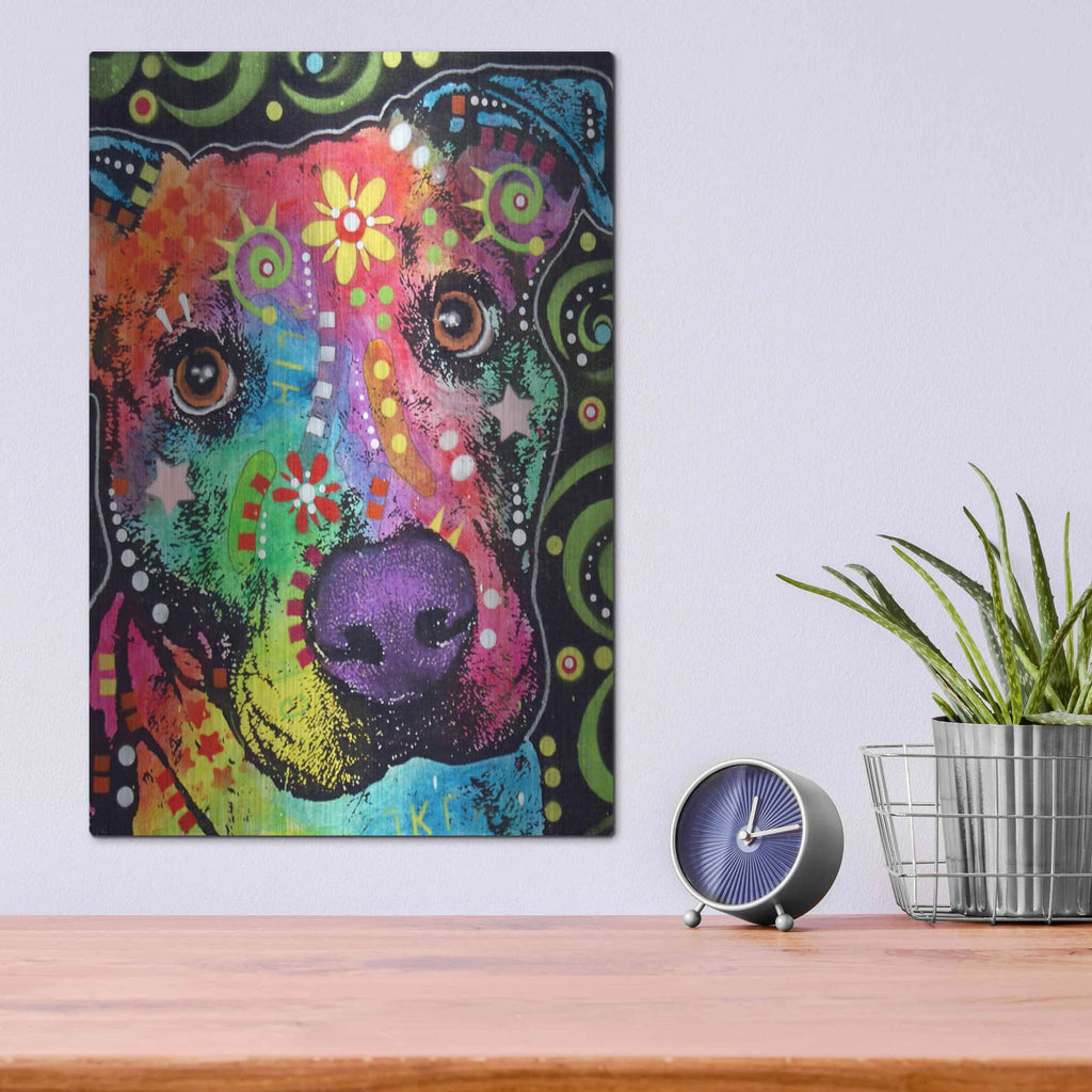'Passion Pit' by Dean Russo – Metal Wall Art, 12x16 room view
