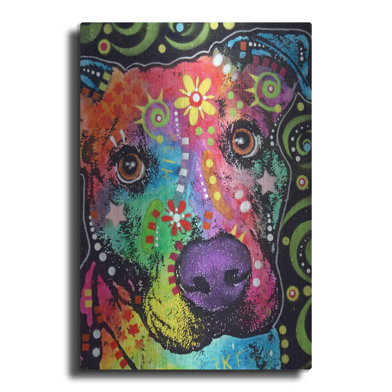 'Passion Pit' by Dean Russo – Metal Wall Art