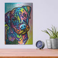 'Pigeon' by Dean Russo – Metal Wall Art, 12x16 room view