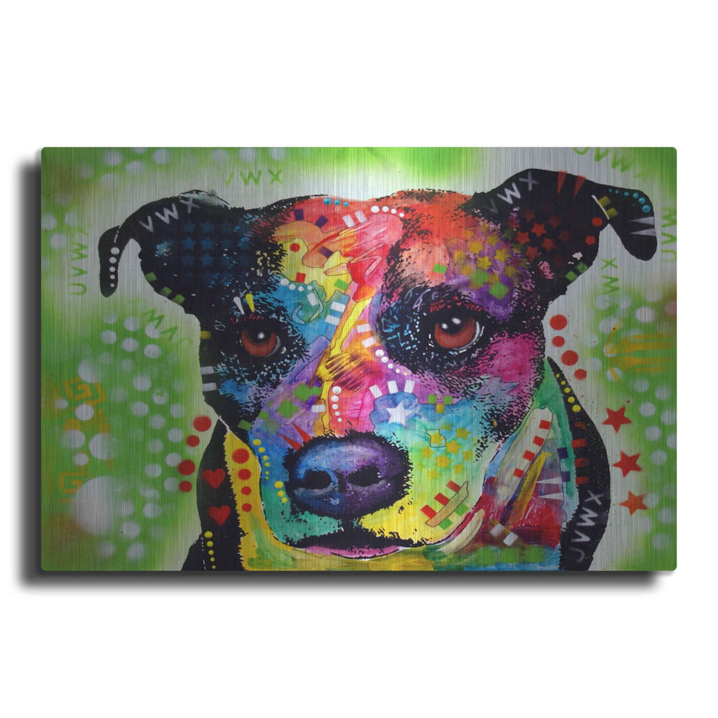 'Pit 1' by Dean Russo – Metal Wall Art