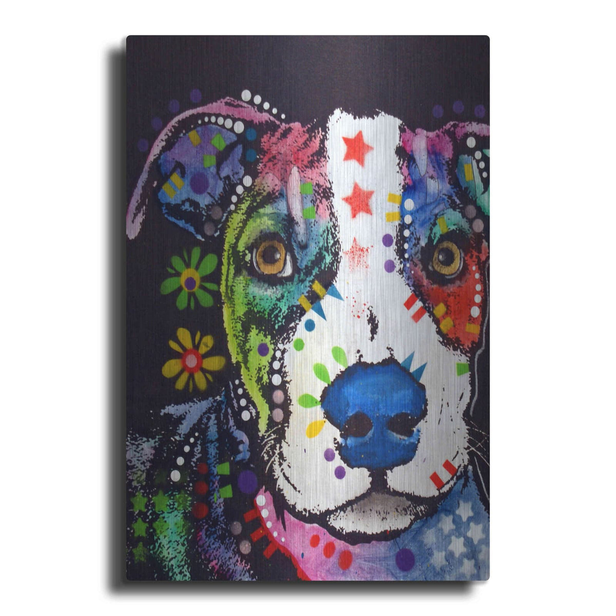 'Pit 2' by Dean Russo – Metal Wall Art