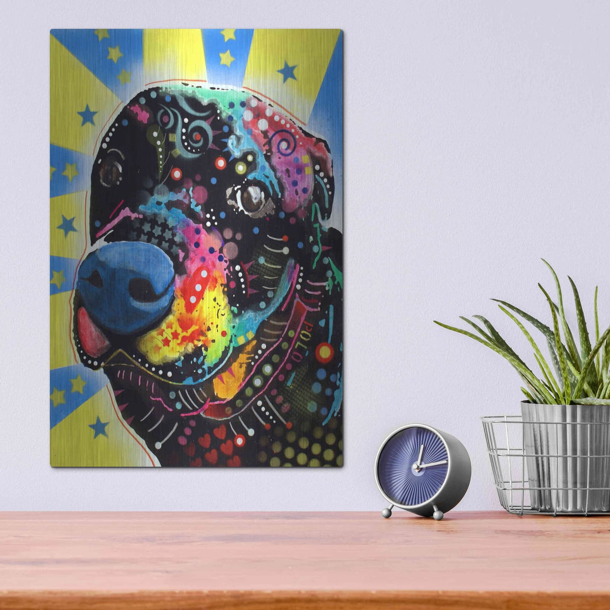 'Polo' by Dean Russo – Metal Wall Art, 12x16 room view