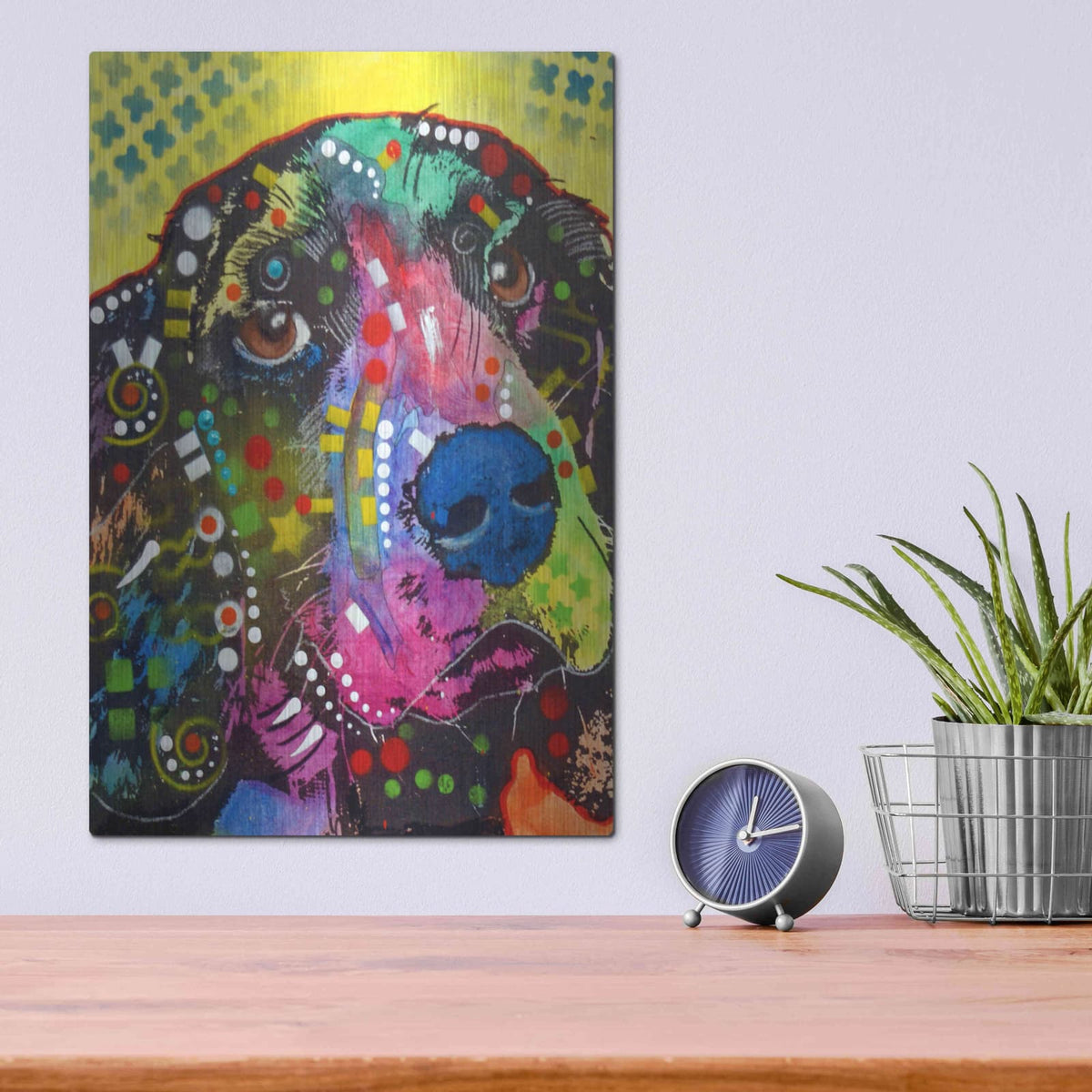 'Springer' by Dean Russo – Metal Wall Art, 12x16 room view
