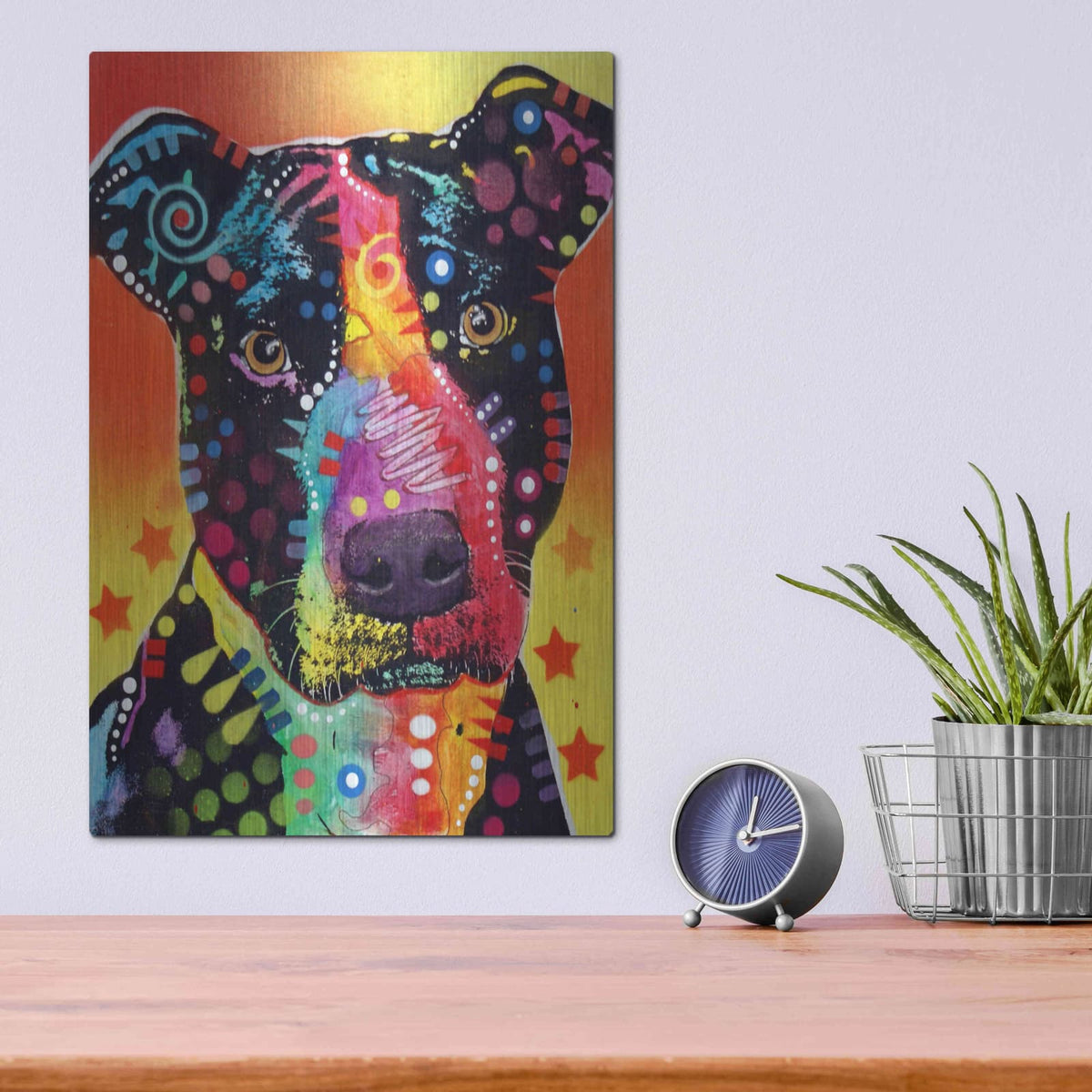 'The Focused Pit' by Dean Russo – Metal Wall Art, 12x16 room view