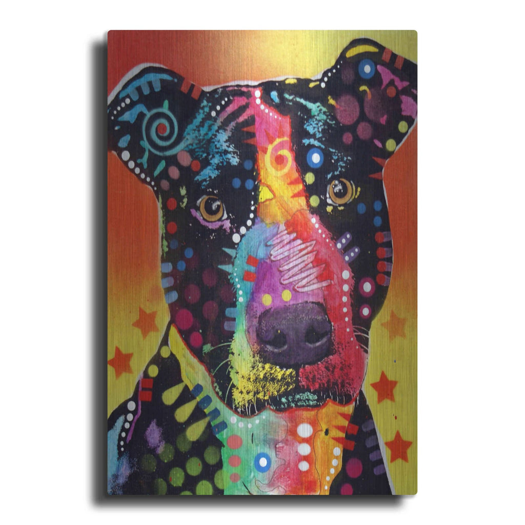 'The Focused Pit' by Dean Russo – Metal Wall Art