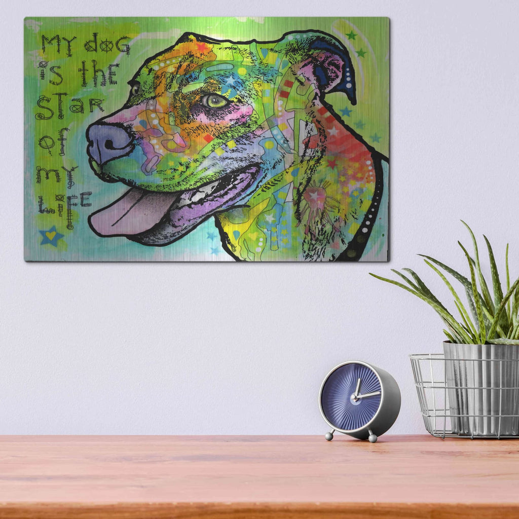 'The Star of My Life' by Dean Russo – Metal Wall Art, 16x12 room view