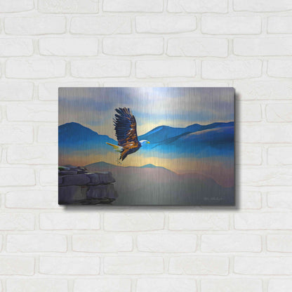 Luxe Metal Art 'Fly Higher' by Ata Alishahi, Metal Wall Art,24x16