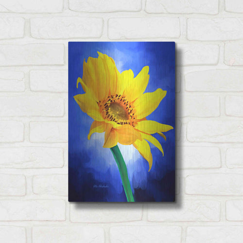 Luxe Metal Art ' Copy' by Ata Alishahi, Metal Wall Art,12x16