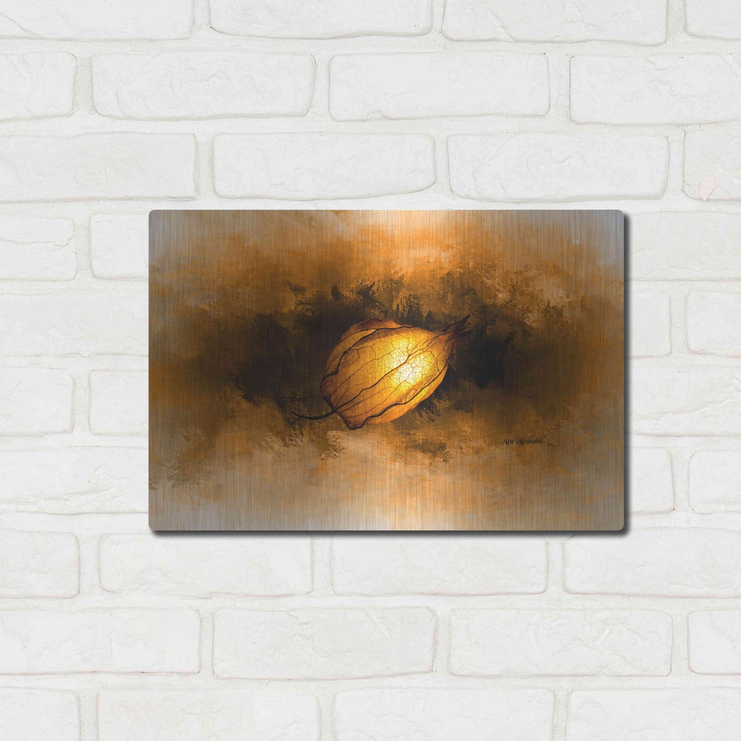 Luxe Metal Art 'Seed' by Ata Alishahi, Metal Wall Art,16x12