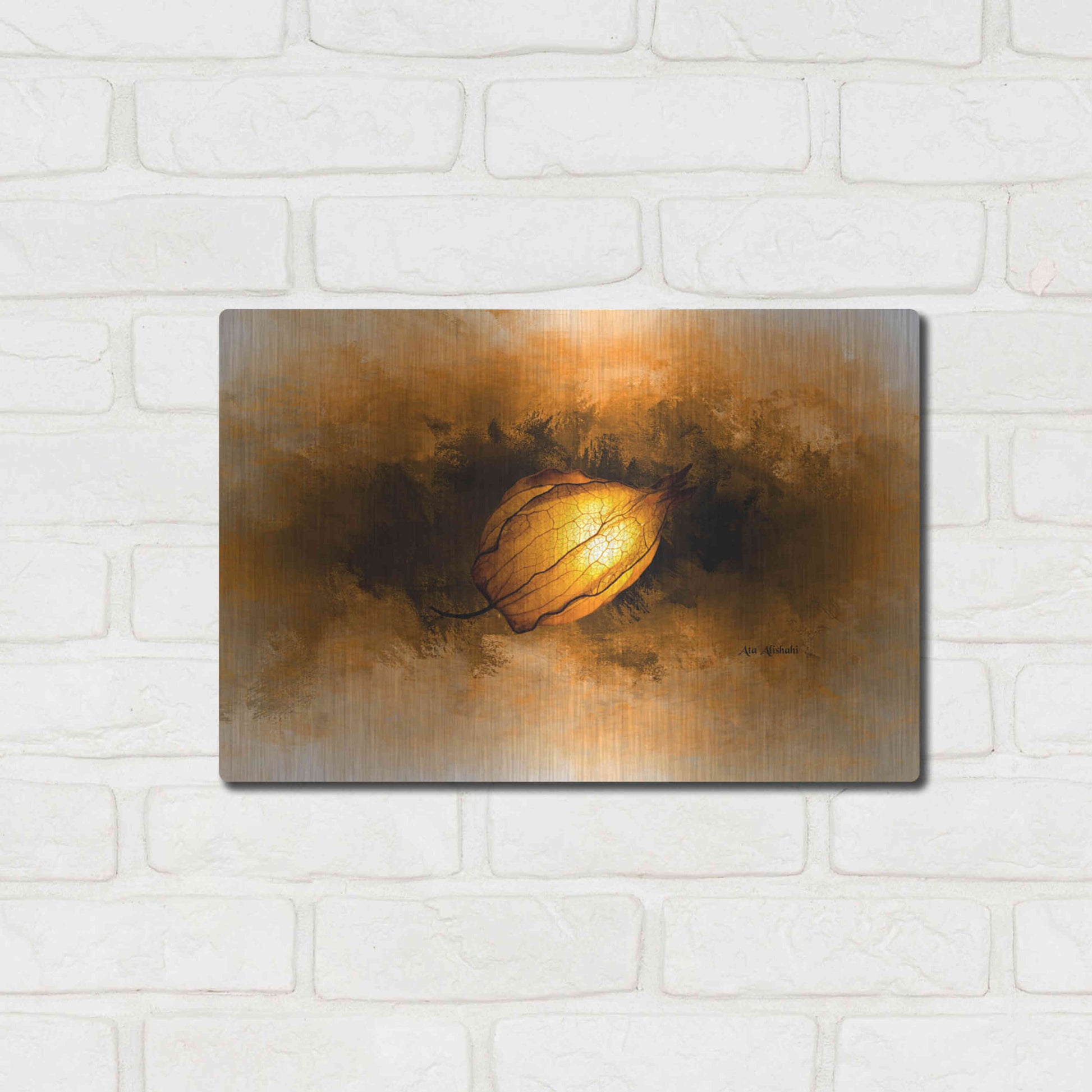 Luxe Metal Art 'Seed' by Ata Alishahi, Metal Wall Art,16x12