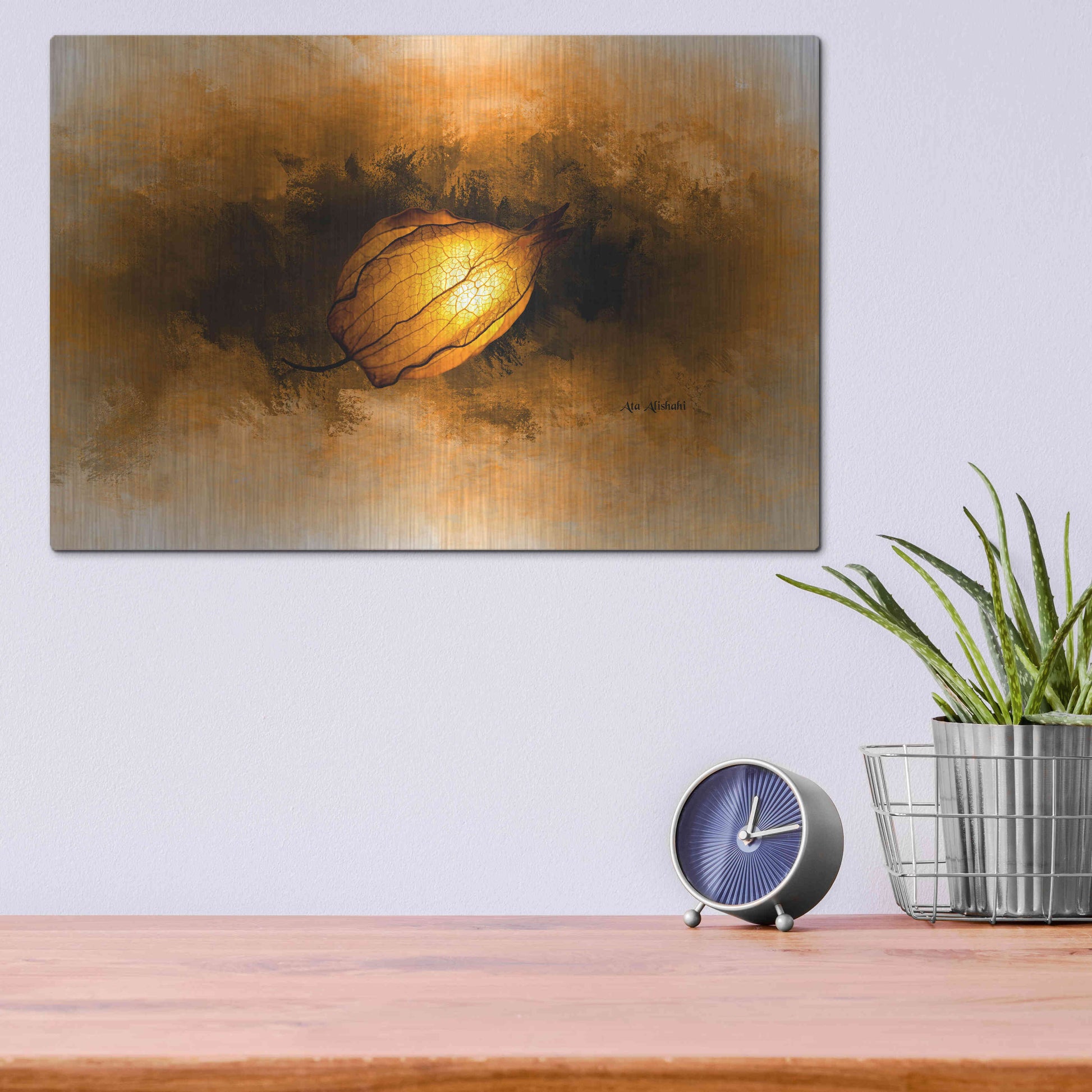 Luxe Metal Art 'Seed' by Ata Alishahi, Metal Wall Art,16x12