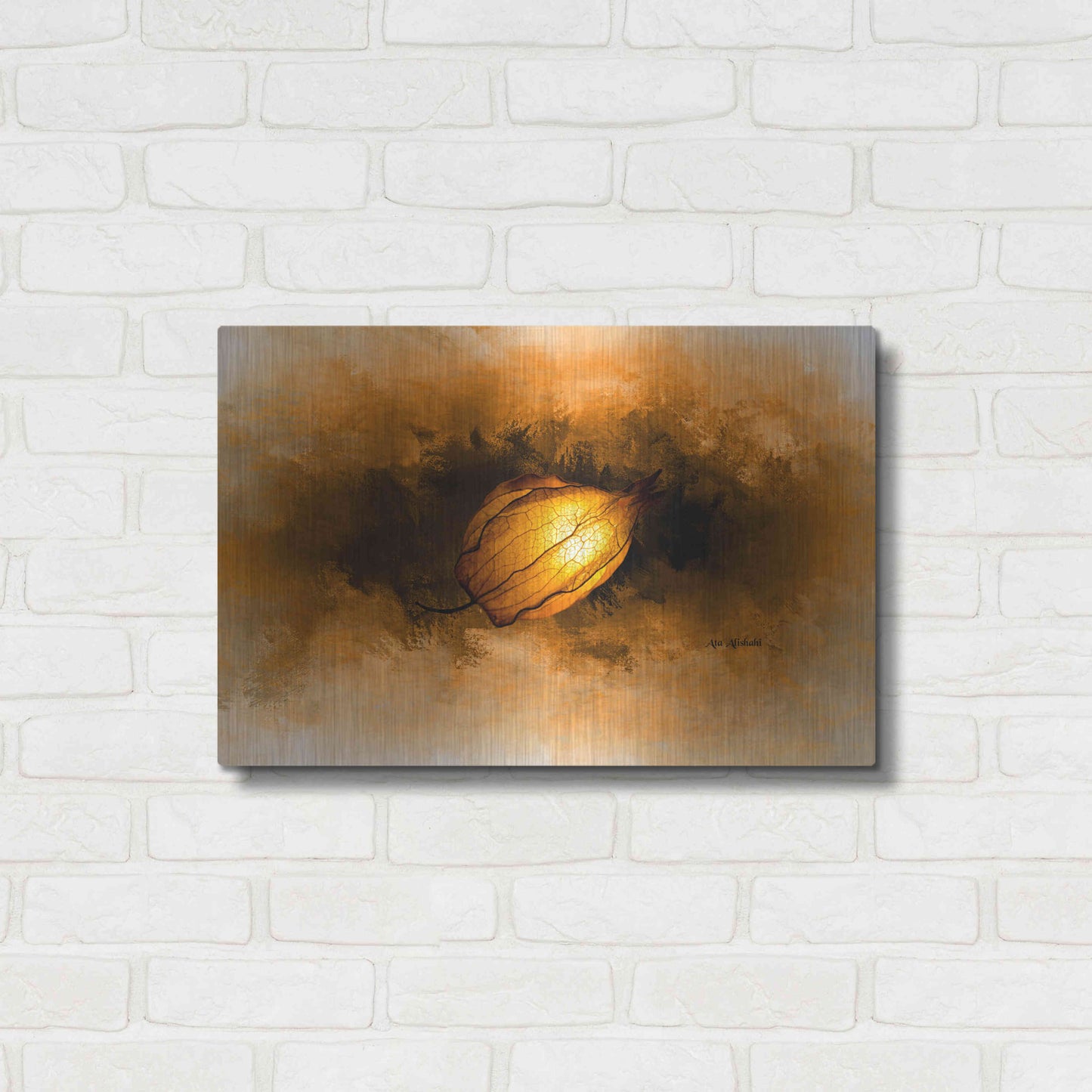 Luxe Metal Art 'Seed' by Ata Alishahi, Metal Wall Art,24x16