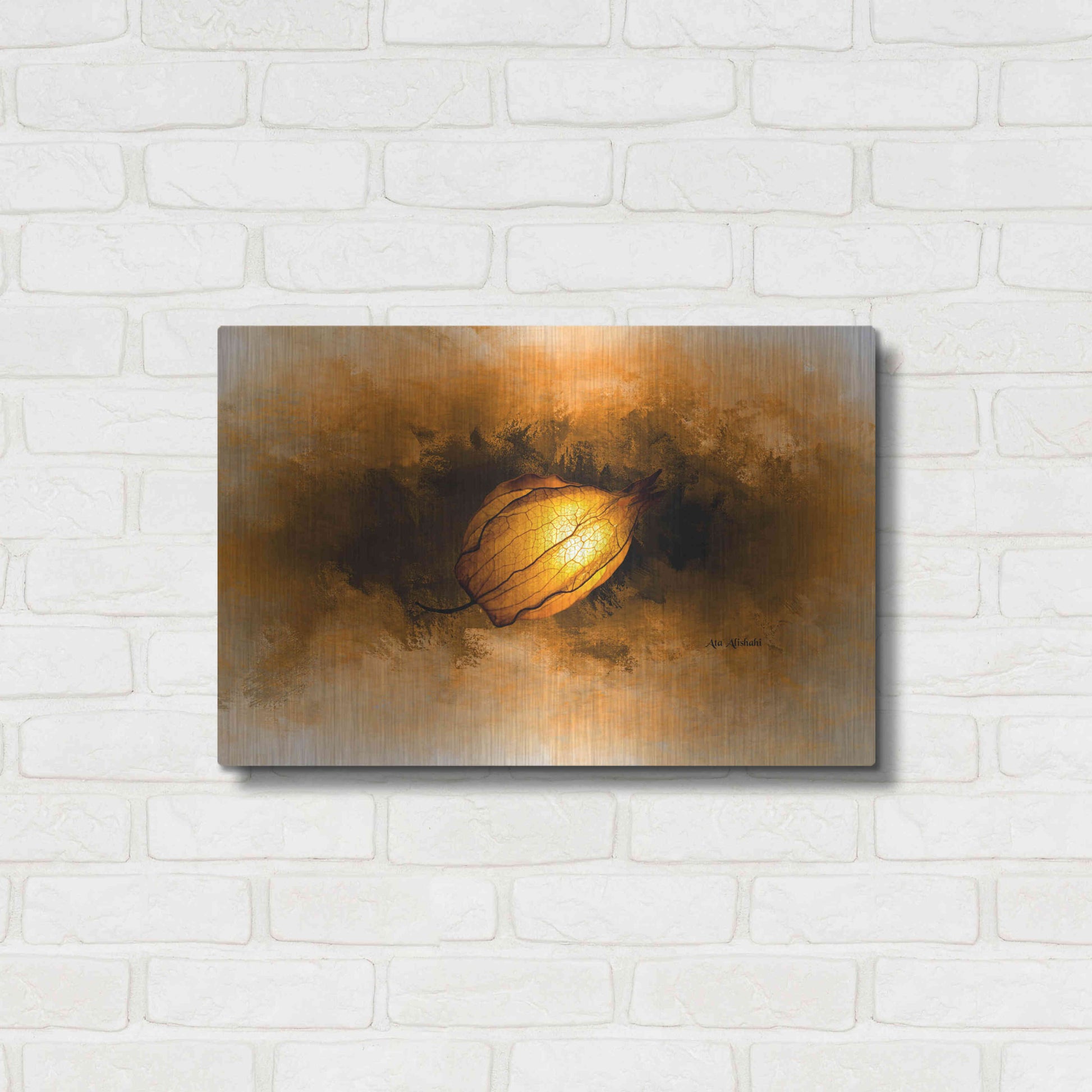 Luxe Metal Art 'Seed' by Ata Alishahi, Metal Wall Art,24x16