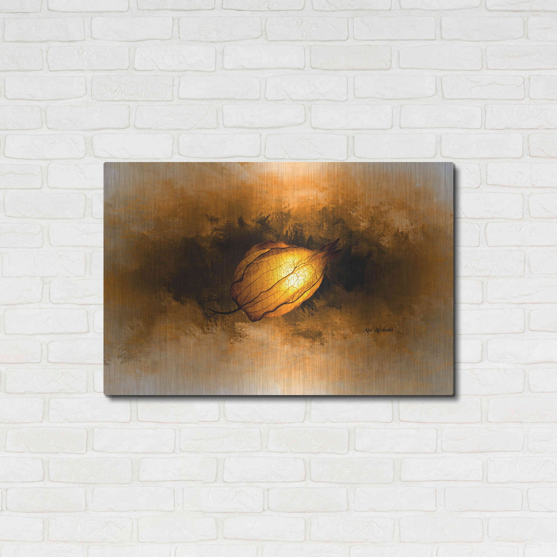 Luxe Metal Art 'Seed' by Ata Alishahi, Metal Wall Art,36x24