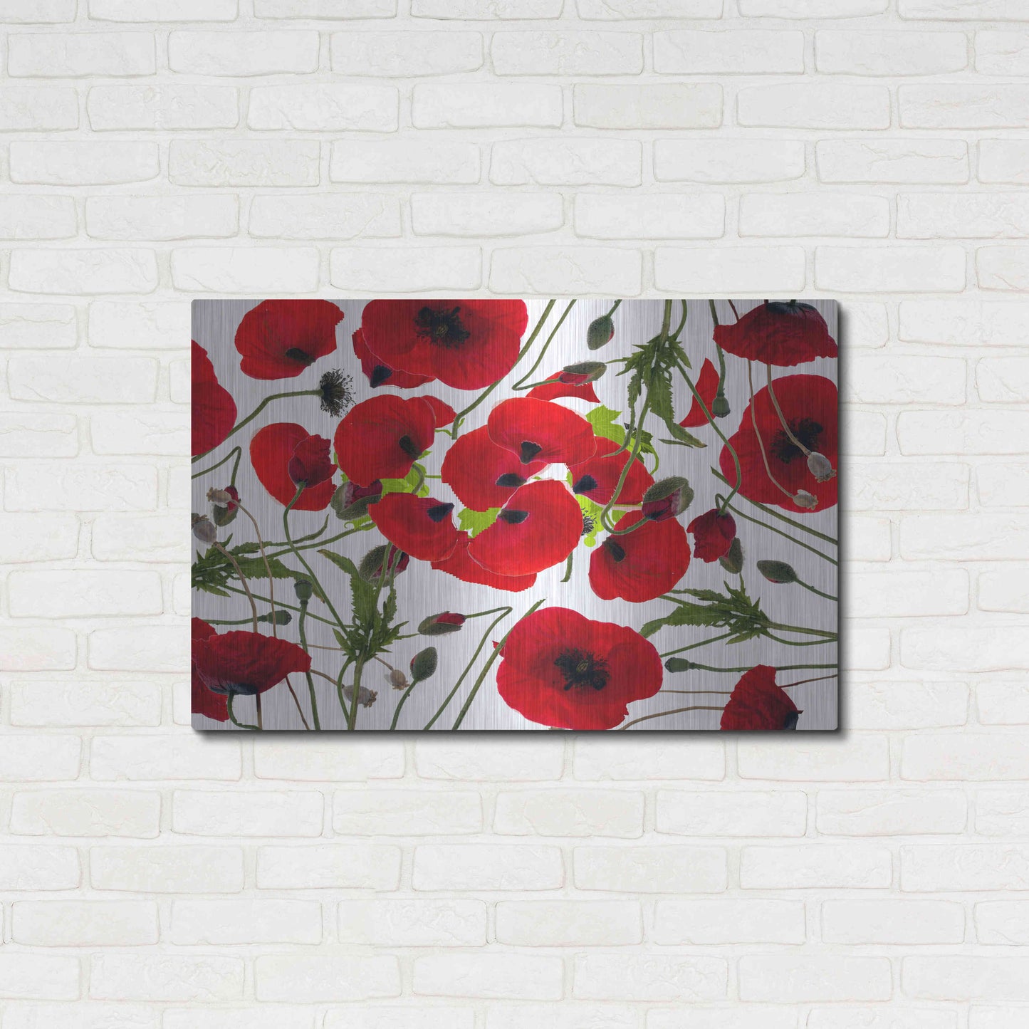 Luxe Metal Art 'Poppy Flower' by Ata Alishahi, Metal Wall Art,36x24