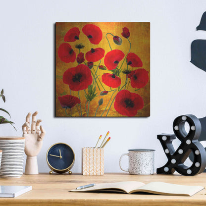 Luxe Metal Art 'Poppy Flowers 2' by Ata Alishahi, Metal Wall Art,12x12