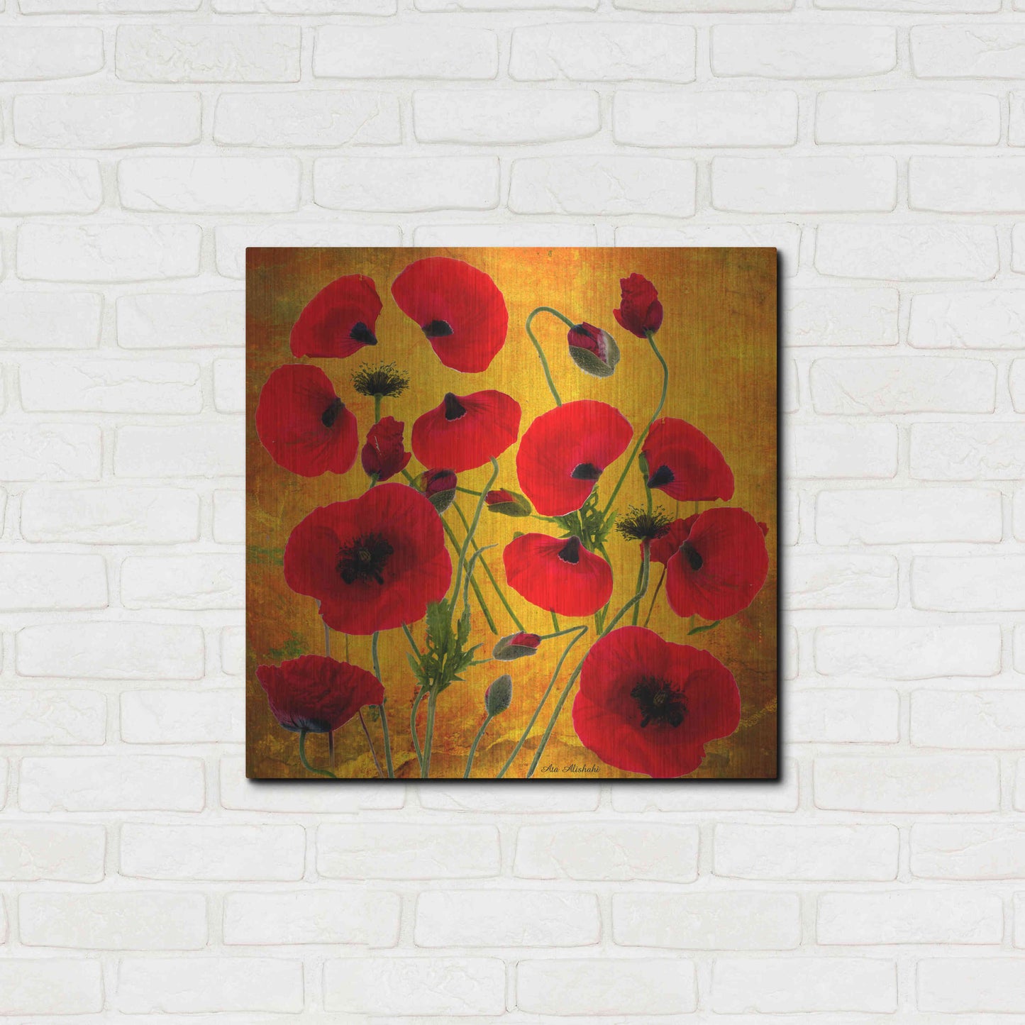 Luxe Metal Art 'Poppy Flowers 2' by Ata Alishahi, Metal Wall Art,24x24