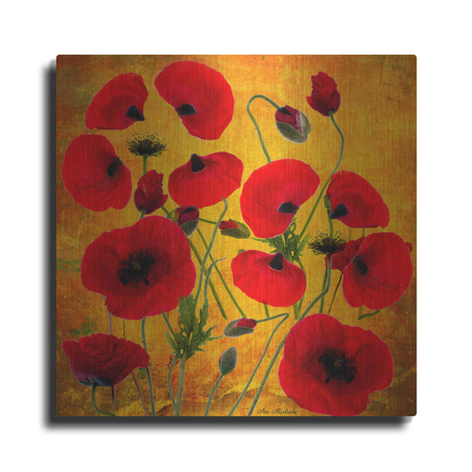 Luxe Metal Art 'Poppy Flowers 2' by Ata Alishahi, Metal Wall Art