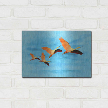 Luxe Metal Art 'Blue Bird 2A2' by Ata Alishahi, Metal Wall Art,16x12