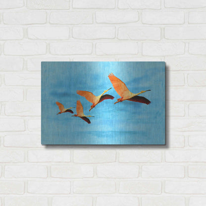 Luxe Metal Art 'Blue Bird 2A2' by Ata Alishahi, Metal Wall Art,24x16