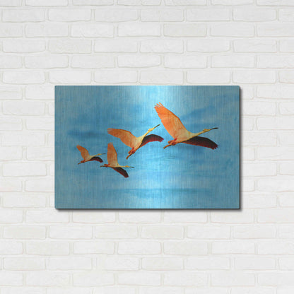 Luxe Metal Art 'Blue Bird 2A2' by Ata Alishahi, Metal Wall Art,36x24