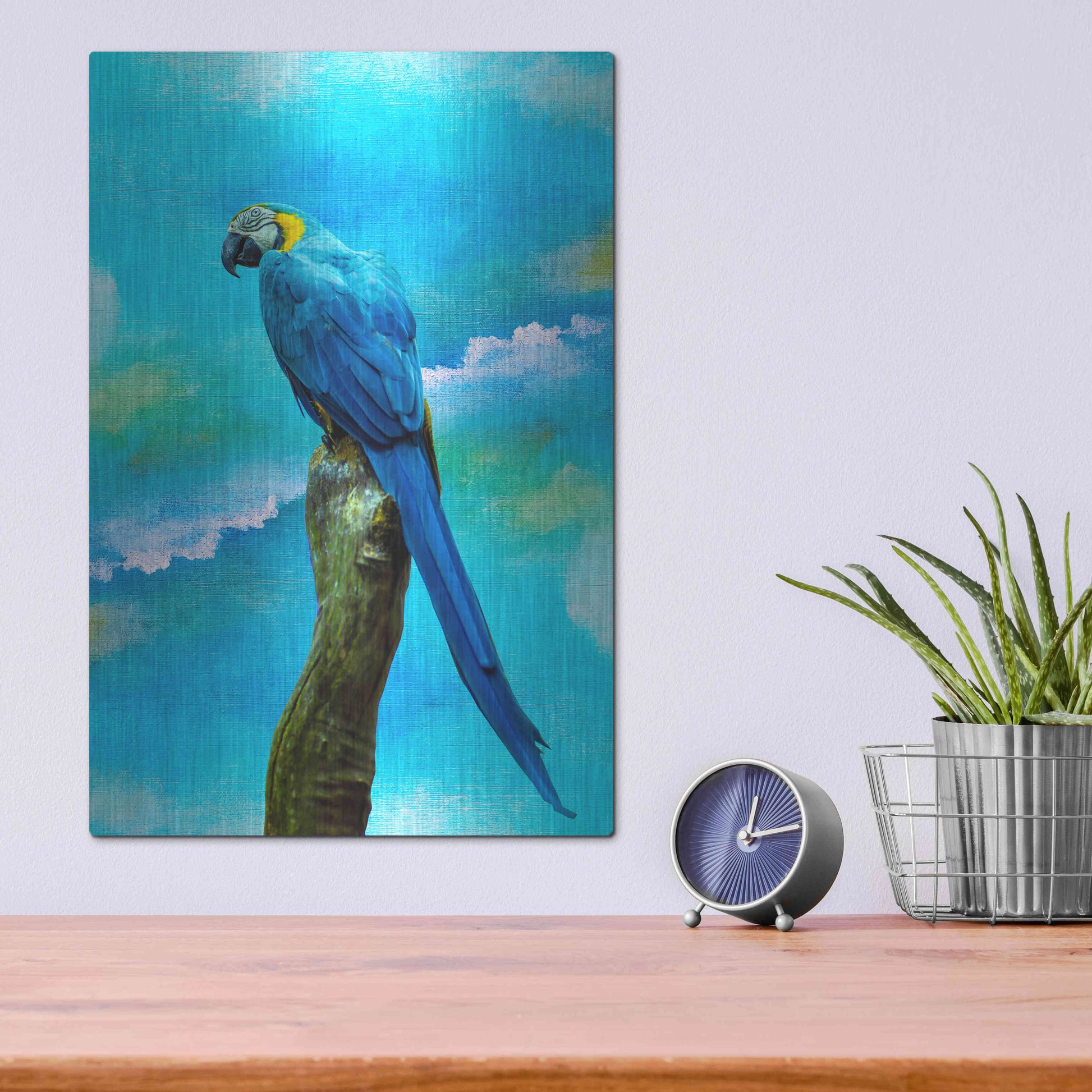 Luxe Metal Art 'Blue Parrot' by Ata Alishahi, Metal Wall Art,12x16