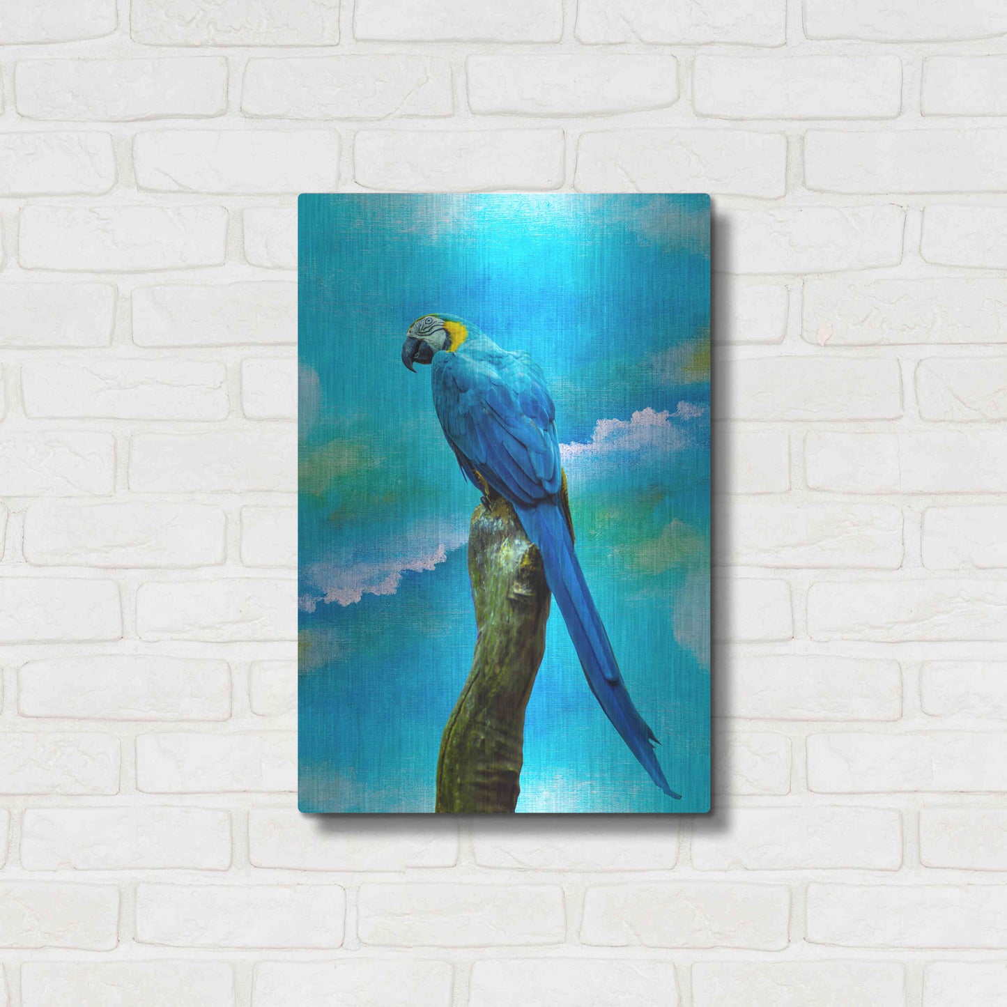 Luxe Metal Art 'Blue Parrot' by Ata Alishahi, Metal Wall Art,16x24