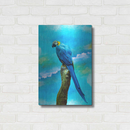 Luxe Metal Art 'Blue Parrot' by Ata Alishahi, Metal Wall Art,16x24