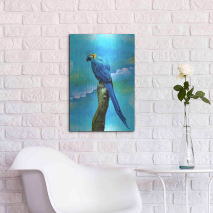 Luxe Metal Art 'Blue Parrot' by Ata Alishahi, Metal Wall Art,16x24