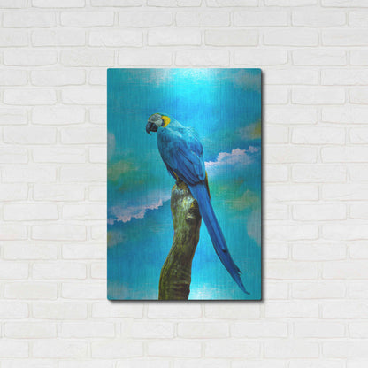 Luxe Metal Art 'Blue Parrot' by Ata Alishahi, Metal Wall Art,24x36