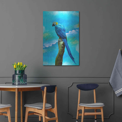 Luxe Metal Art 'Blue Parrot' by Ata Alishahi, Metal Wall Art,24x36