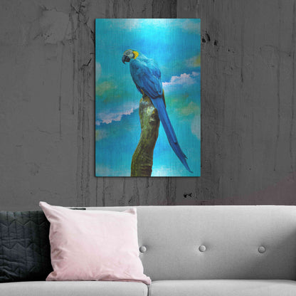 Luxe Metal Art 'Blue Parrot' by Ata Alishahi, Metal Wall Art,24x36