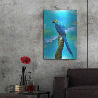 Luxe Metal Art 'Blue Parrot' by Ata Alishahi, Metal Wall Art,24x36