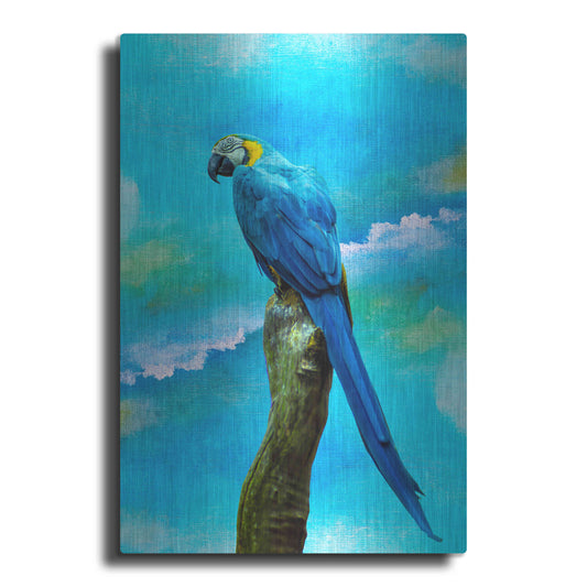 Luxe Metal Art 'Blue Parrot' by Ata Alishahi, Metal Wall Art