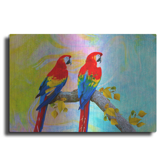 Luxe Metal Art 'Parrots 87A' by Ata Alishahi, Metal Wall Art