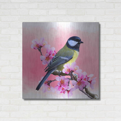 Luxe Metal Art 'Spring Bird 3A' by Ata Alishahi, Metal Wall Art,36x36