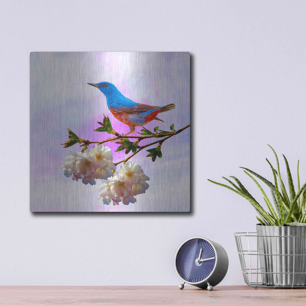 Luxe Metal Art 'Spring Bird 3B' by Ata Alishahi, Metal Wall Art,12x12